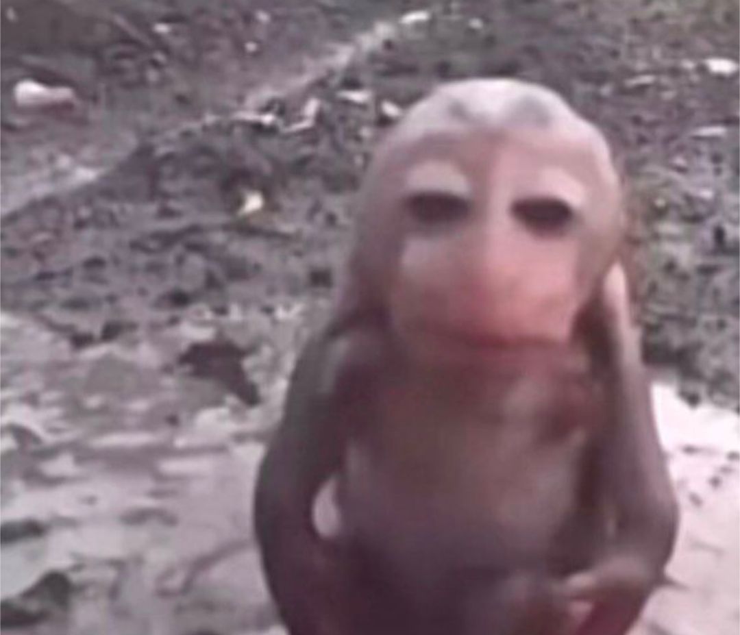 WhatsApp Image 2026-01-05 at 2.43.33 AM (3).jpeg